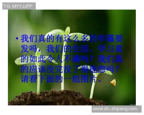 赵伟的乒乓球人生深度对话揭示运动背后的坚持与梦想
